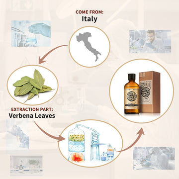 Laurel Essential Oil AKARZ Natural And Pure ( 30ML 100ML )